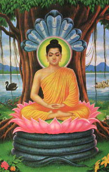 Mindfulness buddha